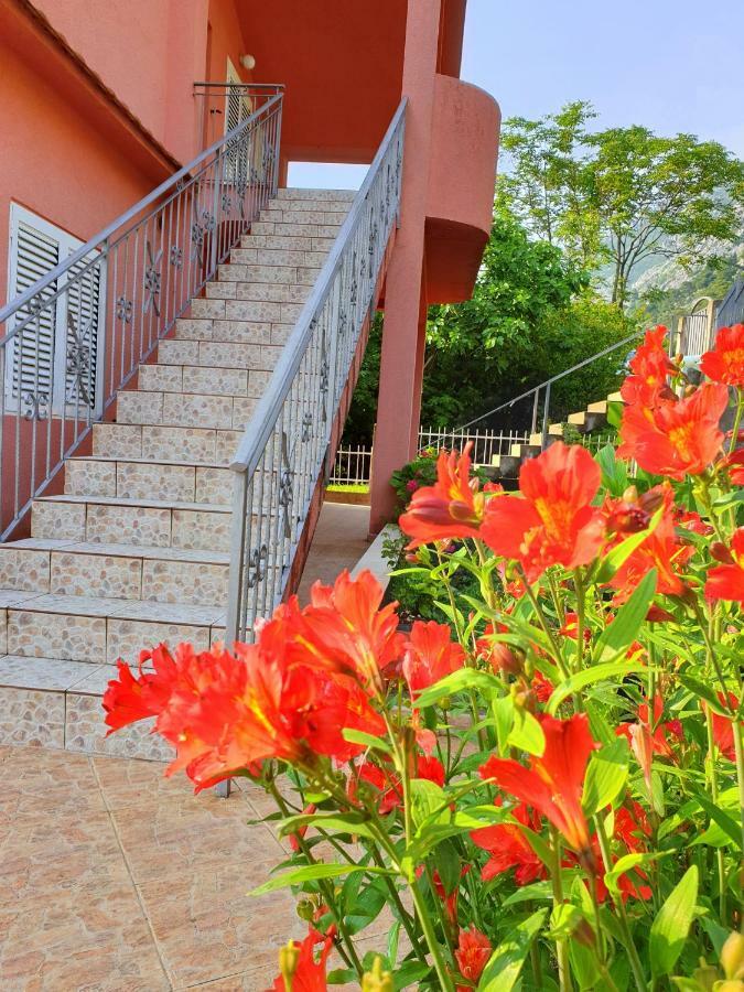 Apartments Lazarevic Kotor Dış mekan fotoğraf